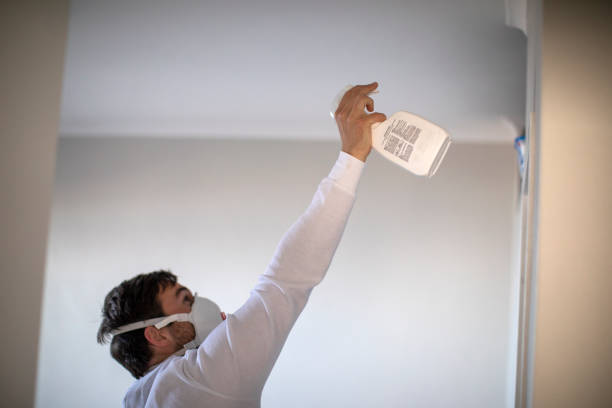 Best Fast Mold Removal  in Deville, AL