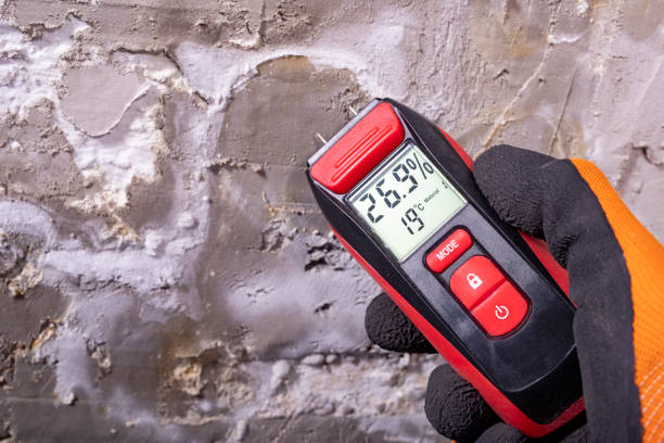 Best Mold Remediation  in Deville, AL