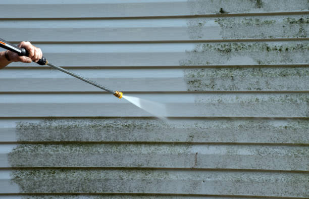 Best Mold Damage Repair  in Deville, AL