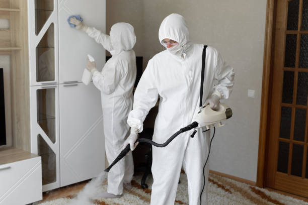 Best Residential Mold Removal  in Deville, AL