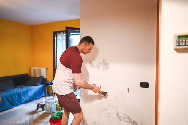Best Attic Mold Removal  in Deville, AL