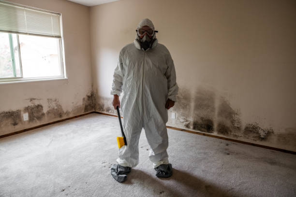 Best Commercial Mold Removal  in Deville, AL